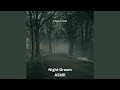 Night Dream - ASMR