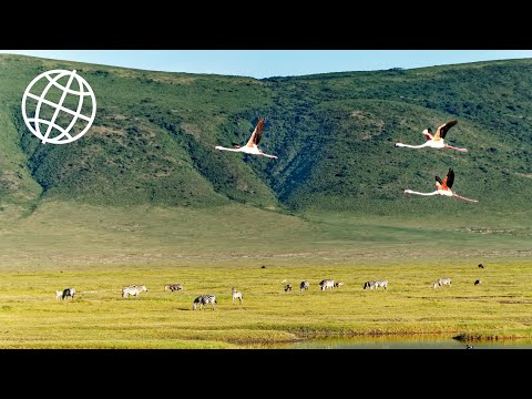 Ngorongoro Crater & Conservation Area, Tanzania  [Amazing Places 4K]