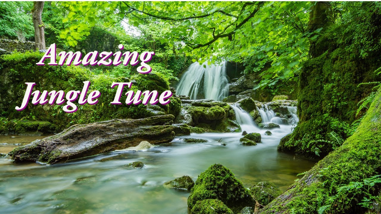 Amazing Jungle Tune | Earphones/Headphones to get the best EXPERIENCE | SUBSCRIBE if you liked it.