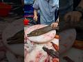 Awesome 😱 Moral Eel Cutting Show 🔪 #food #usa #shorts