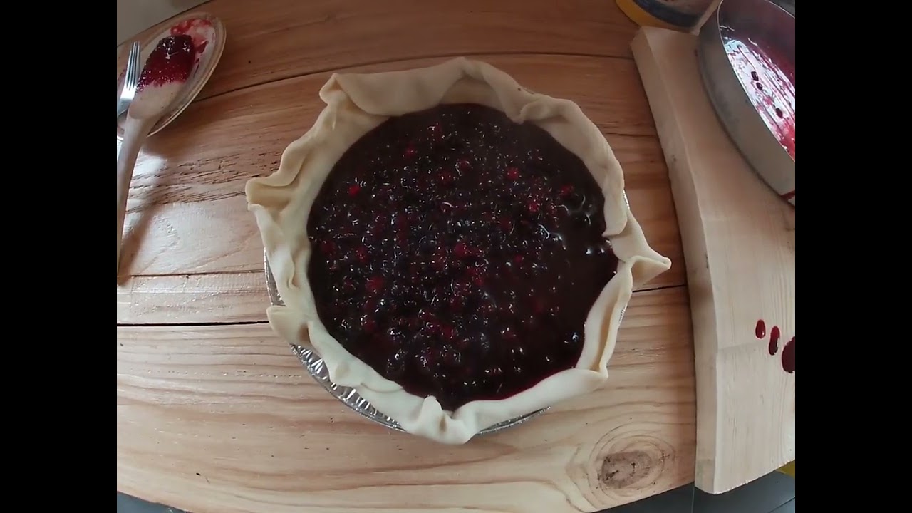 Fresh Saskatoon Serviceberry Pie While it rains. 😋 Need sun or you get more of these videos 😔 😟 🙁 😥