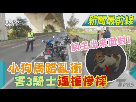 飼主出來面對! 小狗馬路亂衝 害3騎士連撞慘摔｜TVBS新聞 @TVBSNEWS01