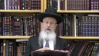 הגאון הרב אברהם יוסף שליט''א הם חייבים לקרוא את שניים מקרא ואחד תרגום בטעמי המקרא סיון תשפ''ד