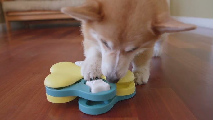 NINA OTTOSSON NINA OTTOSSON Puppy Tornado Interactive Treat Puzzle Dog Toy  - The Fish & Bone