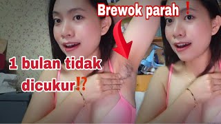 Sampe Brewok Review Bulket Setelah Bertapa Di Kampung