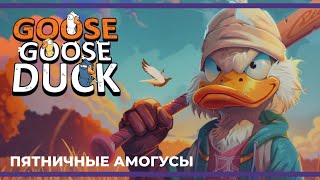 Пятничные амогуси | Goose Goose Duck (05.04.2024)