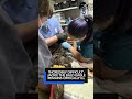 ‘Incredibly difficult’: Jackie the bald eagle remains critically ill