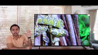 Unboxing: 55-inch TruSense TruLED TV, Powered by WebOS with magic remote #unboxing #tv #4k
