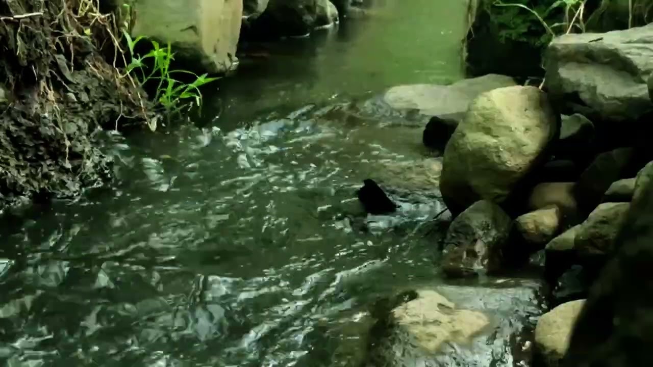 Sonido de Agua que Elimina el Cansancio – Relaxing River Sounds para el Insomnio