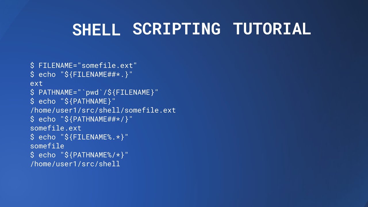 variable assignment shell script