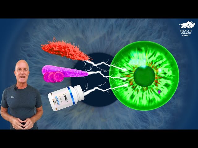 Eyesight Foods and Supplements |Antioxidants for Vision Health and Aging | Eat to See Better