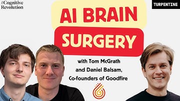 Popular Mechanistic Interpretability: Goodfire Lights the Way to AI Safety