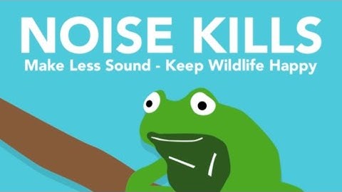 The Silent Threat: How Noise Pollution Harms Wildlife 🔇 | Environmental Project🌻🌿☘️