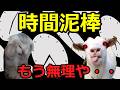 【猫ミーム】DQN♯1究極の時間泥棒!!