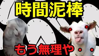 【猫ミーム】究極の時間泥棒!!