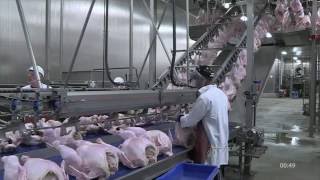 Turkey processing cut up line ACM-T