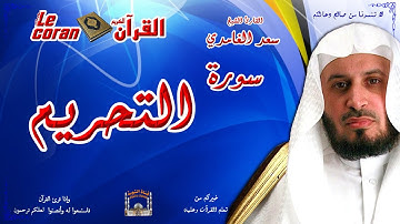 Saad AL Ghamidi - At tahrim (HD-66) سعد الغامدي - سورة  التحريــم
