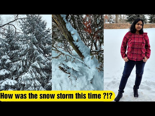 Snow Storms Can Be Beautiful Too ! USA Tamil Vlogs - Winter Snow Storm Vlog 2022 | Food Tamil - Samayal & Vlogs