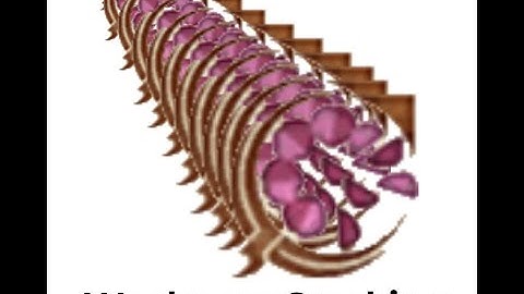 Oblivion Weakness Stacking Demonstration and Talking about Glitches and Exploits