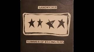 Summer of Killing Flies - \