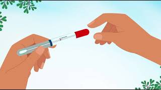 HPV Self-Collection Test: Step-by-Step Cervical Cancer Screening Guide (English)