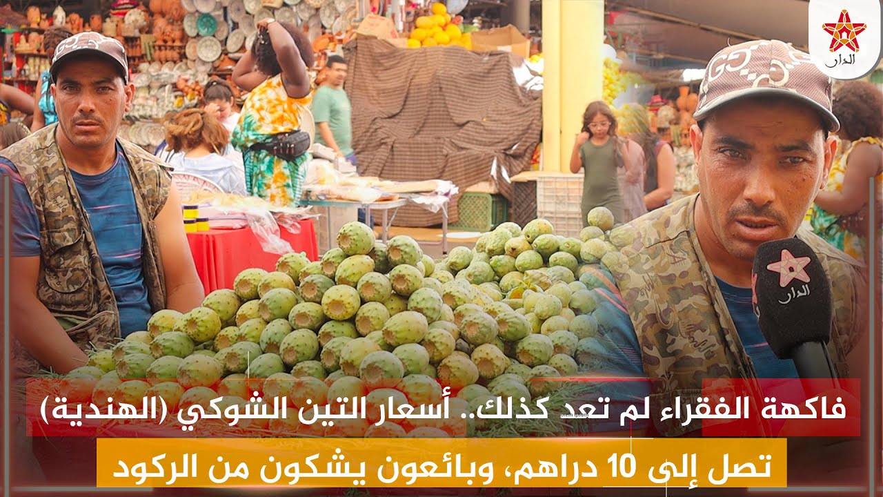 فاكهة الفقراء لم تعد كذلك.. أسعار التين الشوكي (الهندية) تصل إلى 10 دراهم، وبائعون يشكون من الركود