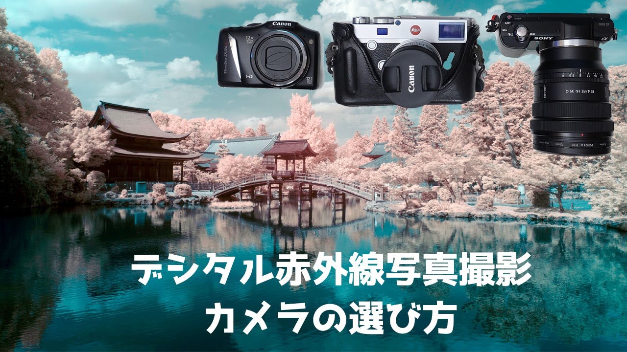 使い方次第で個性的な写真撮影が可能  赤外線カメラ 初心者】デジタル赤外線写真を撮影する時どんなカメラを使ったら良い