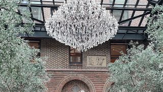 Chicago diaries—✨fancy✨ edition (lunch at 3 Arts Club and tea at the Drake), plus nature in the city