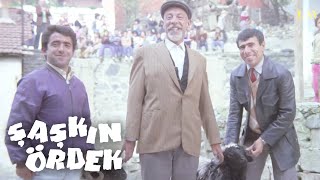 Her Kardeşe Bir Koç Adeti | Şaşkın Ördek