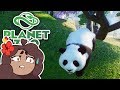 A Panda Legacy Left Behind...!! 🐼 Daily Planet Zoo! • Day 19