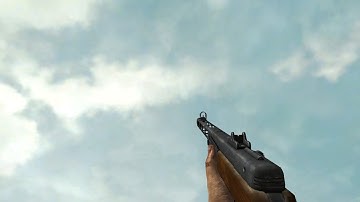 WAW PPSH-41 on Round 40