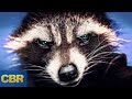 Rocket Racoon's Tragic Origins Revealed