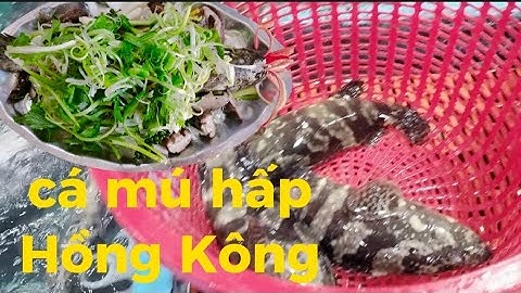/13| Cá Mú Hấp Hồng Kông, Ngon Tuyệt Cú Mèo