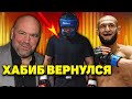 Хабиб показал готовность к бою/Дана Уайт оценил Хамзата Чимаева/Петр Ян об Орловском