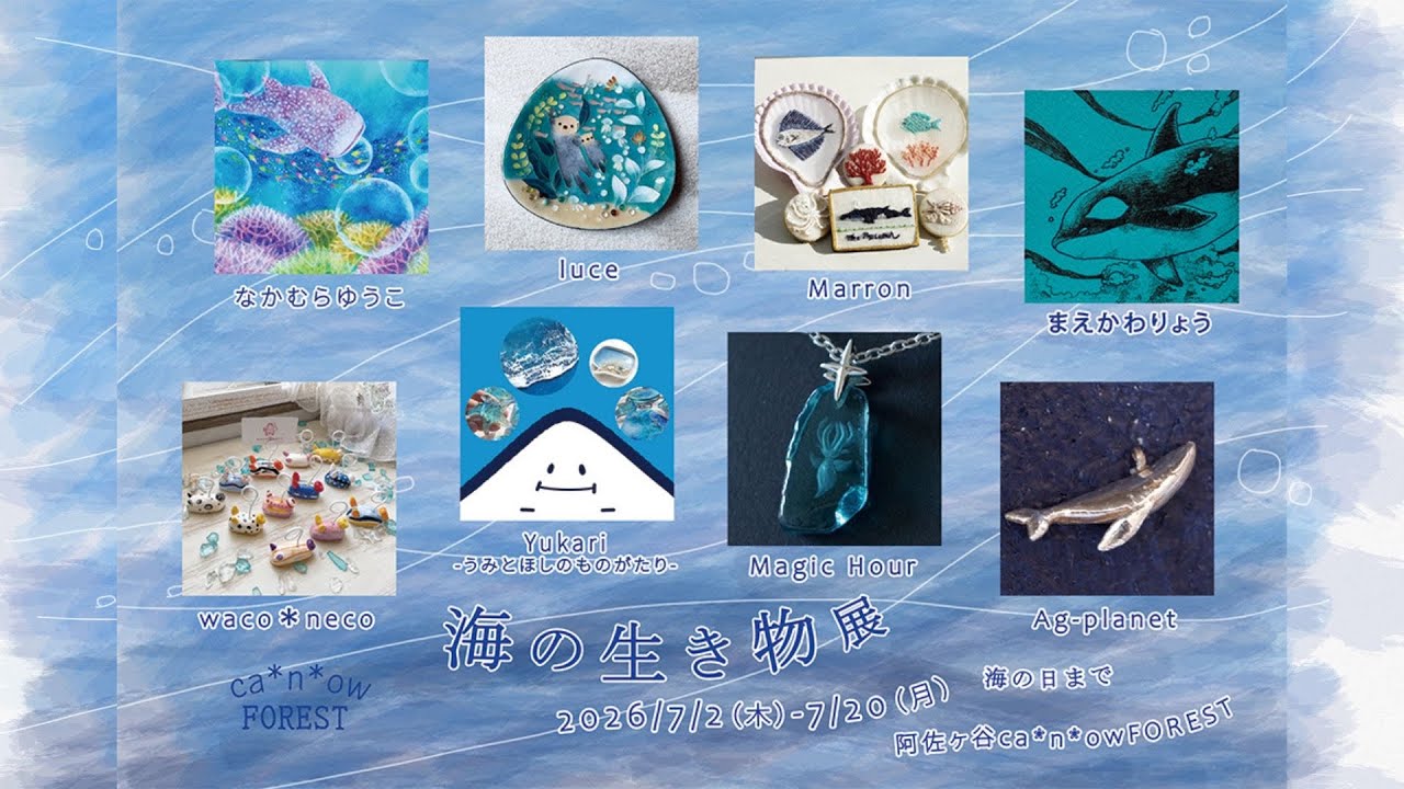 海の生き物展 | ca*n*ow blog