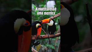 A multitarefa é uma MENTIRA #Multitarefa #Foco #CaosDigital