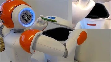 Transfer learning of affordances in a garbage disposal task with a robot NAO (two camera views)