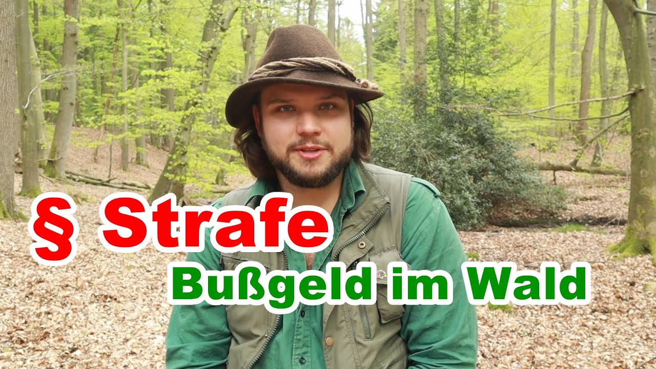 strafen-in-deutschland-was-gibt-es-f-r-bu-geld-im-wald-youtube