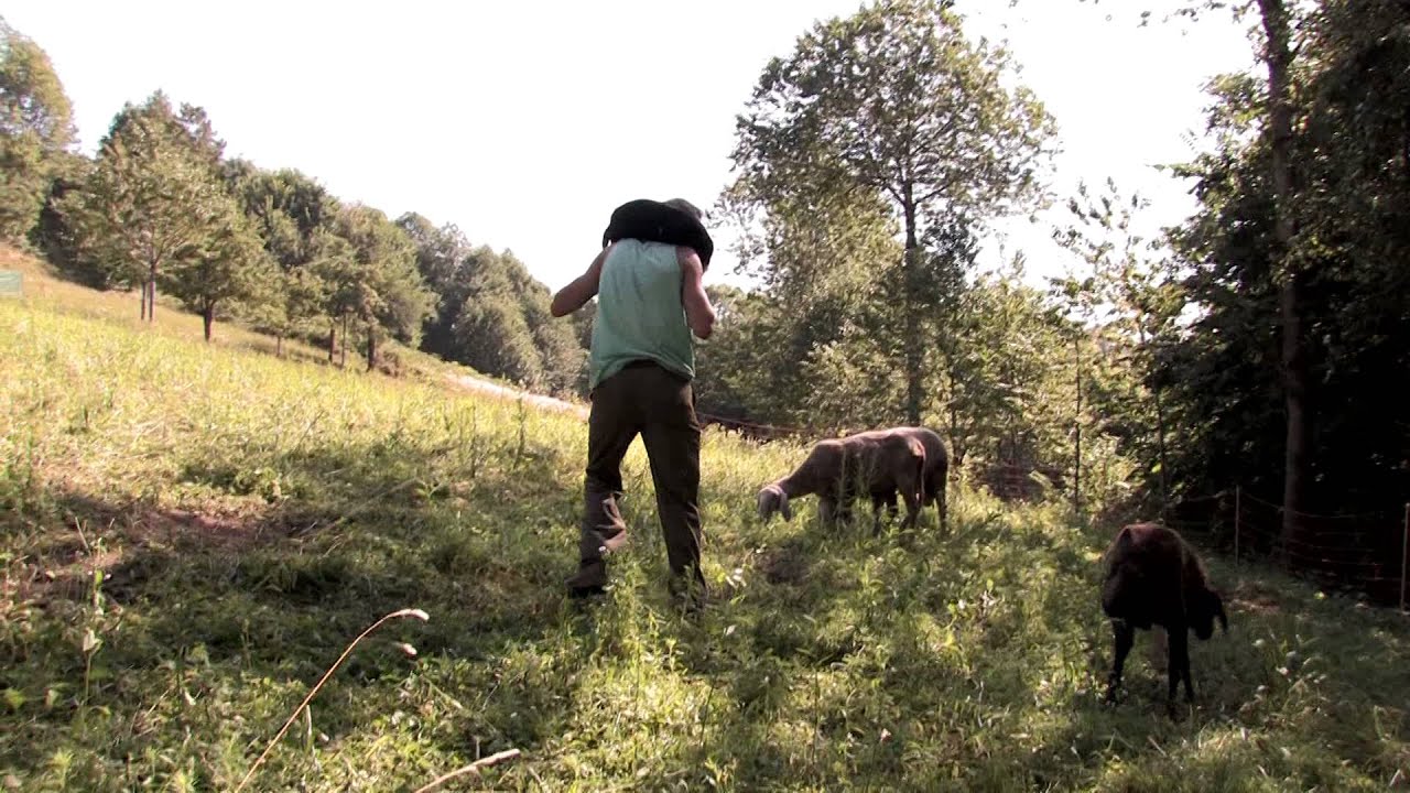 CRONACA DI UNA VITA SEMPLICE Film Documentario Di Fabio GIANOTTI E 