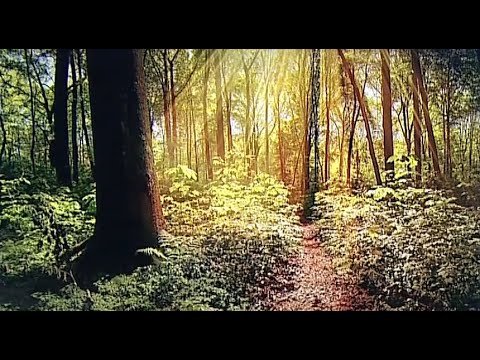 Videó: A Legjobb állami Parkok Vermontban