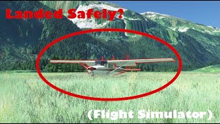 Engine Failure Simulation in MSFS