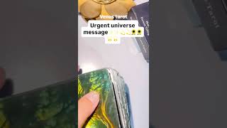 Urgent universe message🌻 #tarot #love #youtubeshorts #youtube #trend #trending #shorts #short