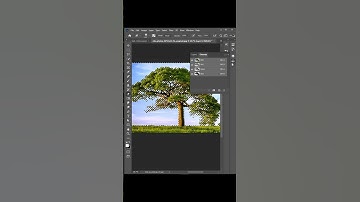 How To Remove Background of a tree In Photoshop | #shorts #photoshop