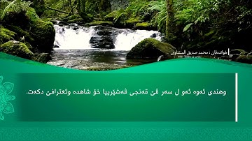 تحسين ابراهيم دوسكي - تەفسیرا سورة العاديات