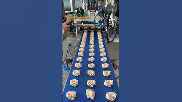 【馄饨机】 #dimsumfrozen#wontons #machine #dumplingmaker #dumplingmakingmachine
