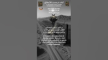 سورة النور 28/21 itali/arabo #القران_الكريم #quran