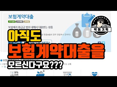 보험대출