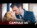 Amor en guerra capitulo 44 doblada en espaol