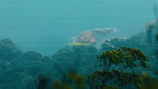 Moist Canon R5 4K Cinematic Short Video