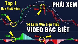 Phương Pháp HAY NHẤT Trong 4 Năm Forex Của Mình ( VIDEO SIÊU ĐẶC BIỆT )